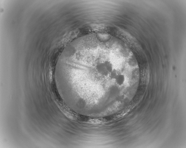 X0000087680703200705251644