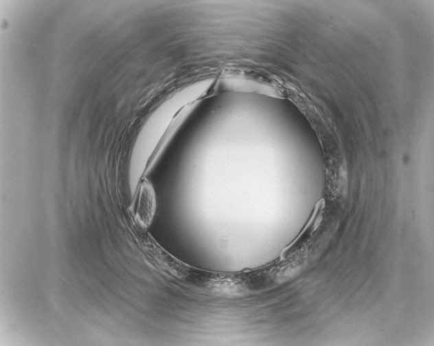 X0000087680704200705251644