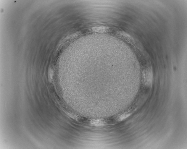 X0000087680705200705251644