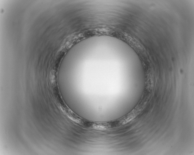 X0000087680706200705251644