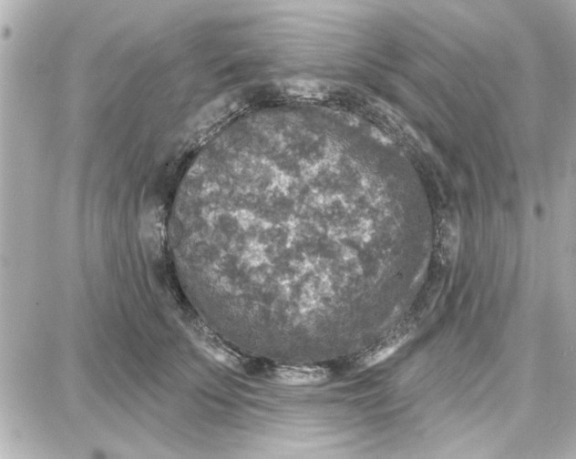 X0000087680707200705251644