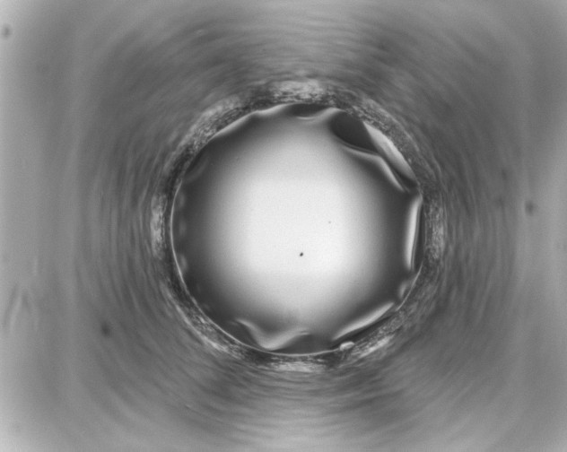 X0000087680708200705251644