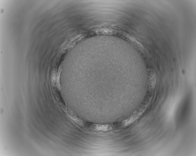 X0000087680709200705251644