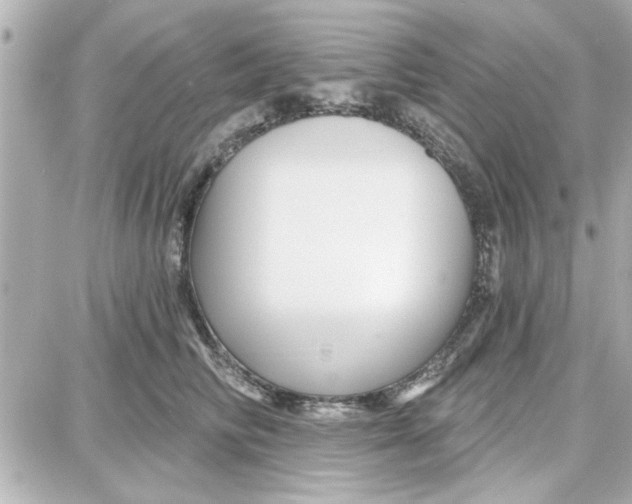 X0000087680710200705251644