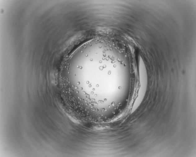 X0000087680712200705251644