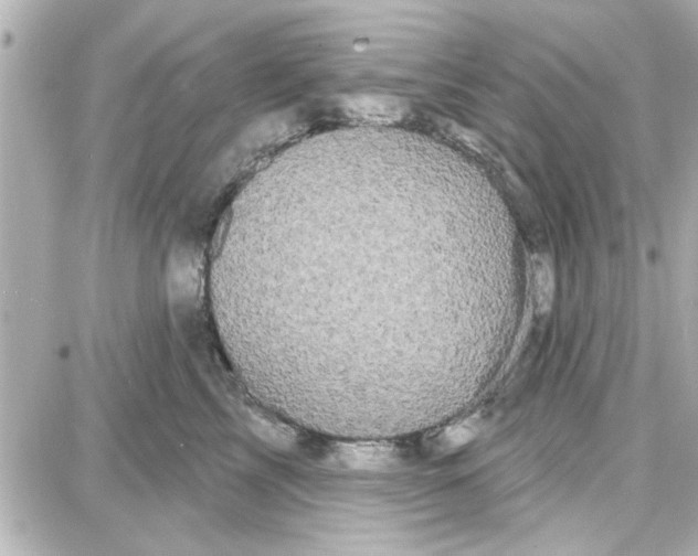 X0000087680713200705251644