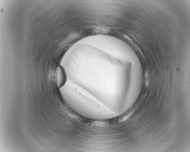 X0000087680714200705251644