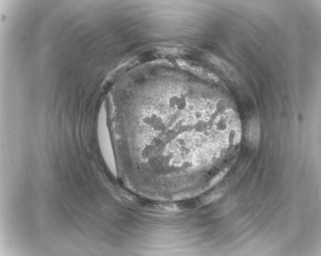 X0000087680715200705251644