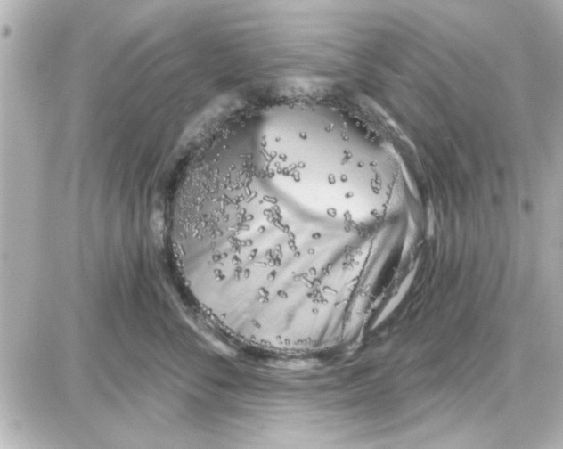 X0000087680716200705251644