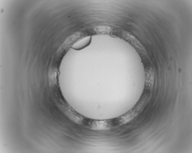 X0000087680717200705251644