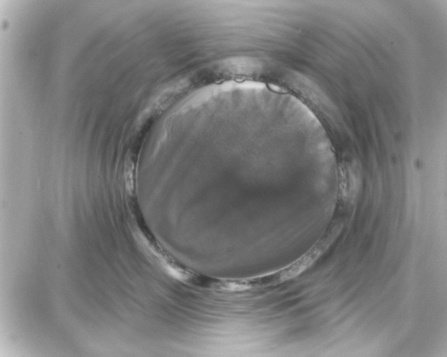 X0000087680718200705251644