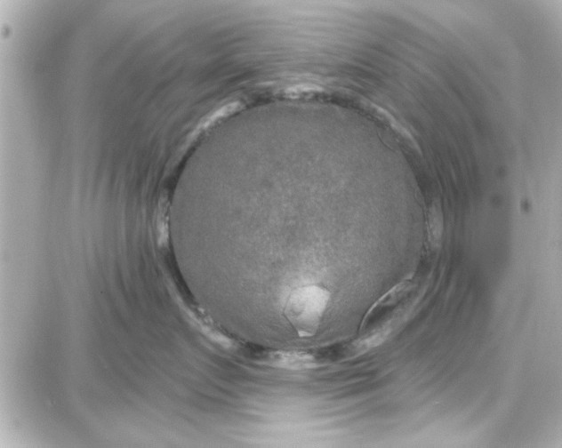 X0000087680719200705251644