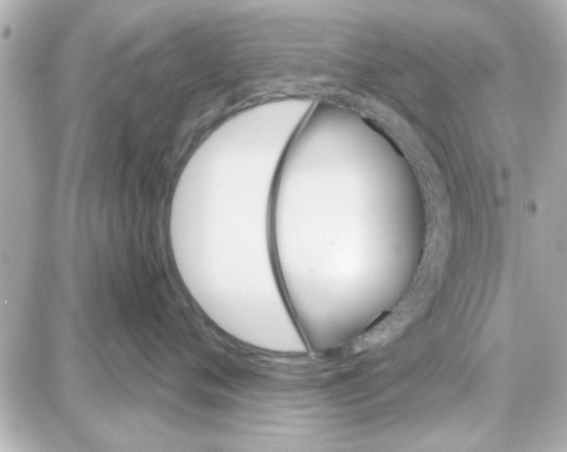 X0000087680720200705251644