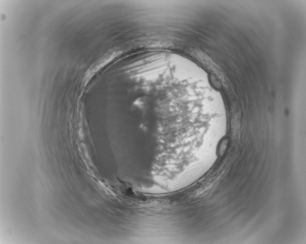 X0000087680721200705251643