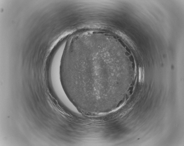 X0000087680723200705251643