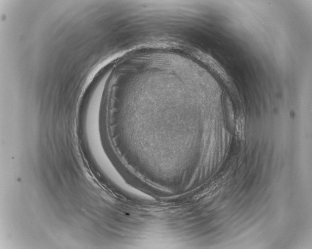 X0000087680724200705251643