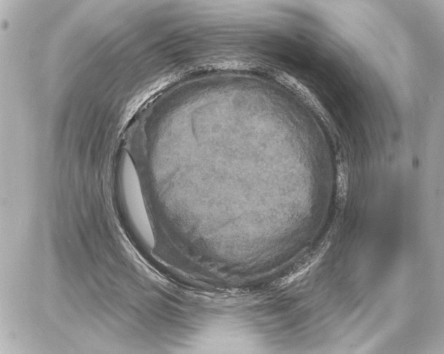 X0000087680725200705251643