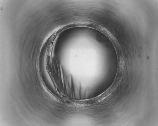 X0000087680726200705251643