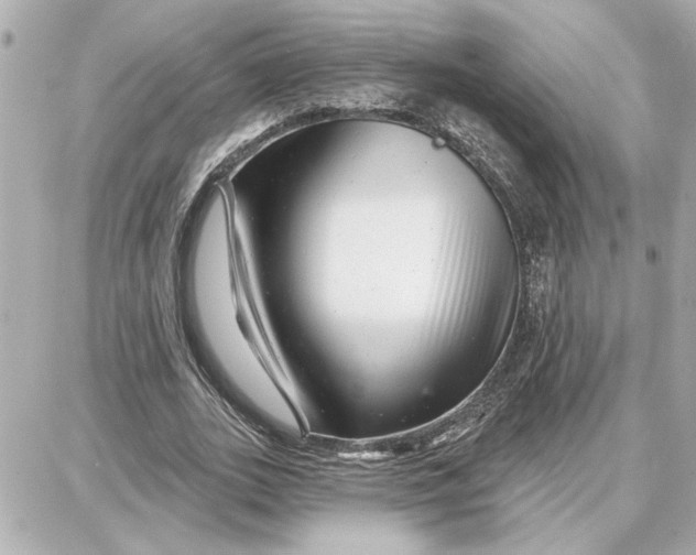 X0000087680727200705251643