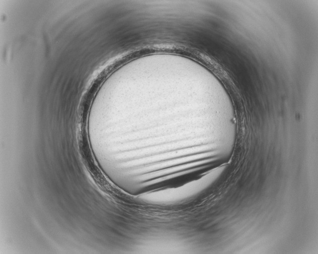 X0000087680728200705251643