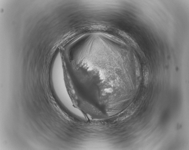 X0000087680729200705251643