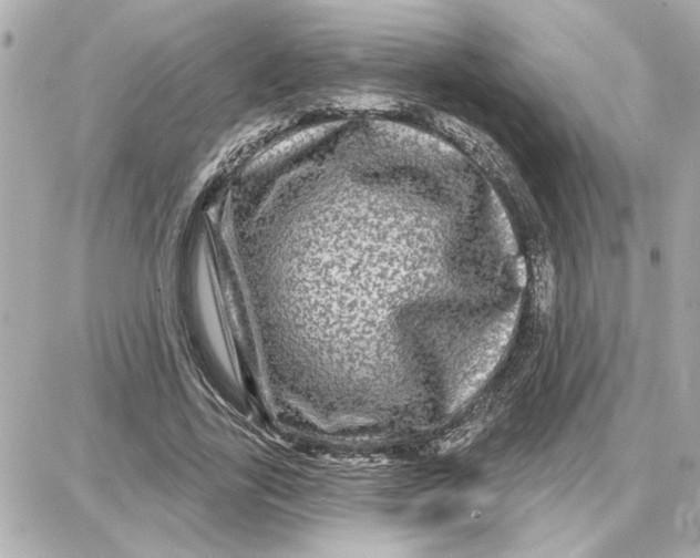 X0000087680731200705251643