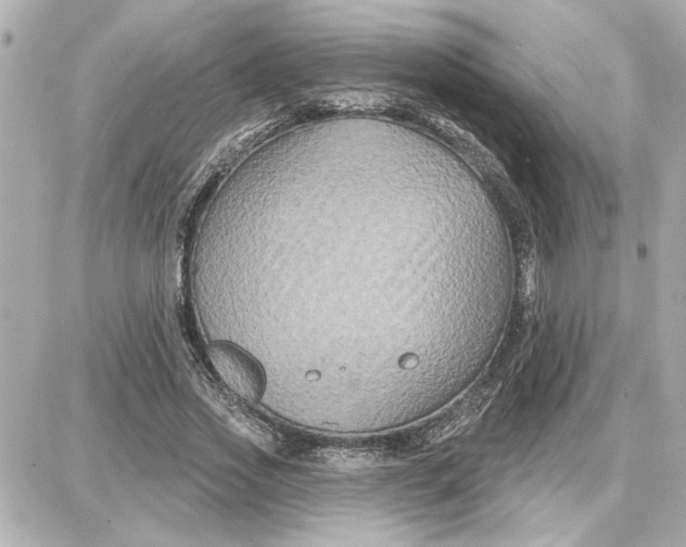 X0000087680733200705251643