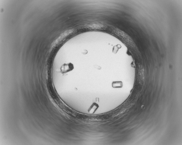 X0000087680734200705251643