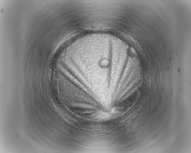 X0000087680735200705251643