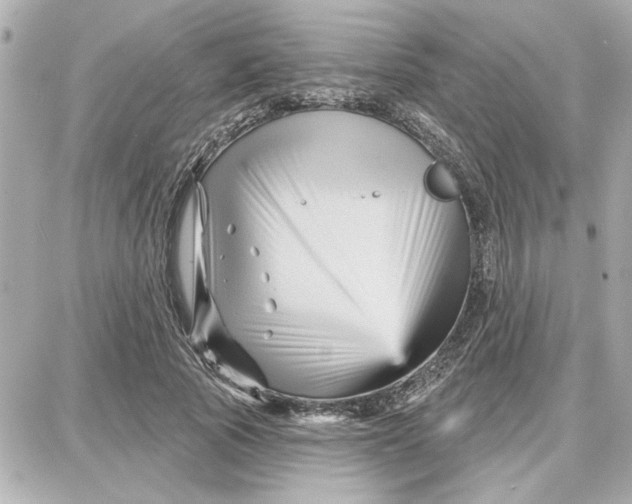 X0000087680737200705251643