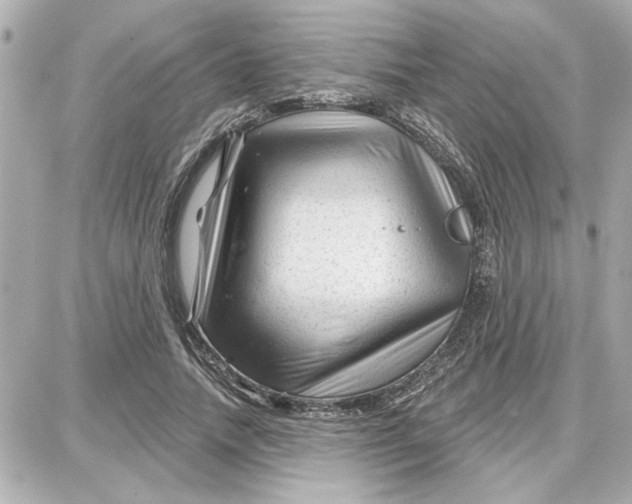 X0000087680738200705251643