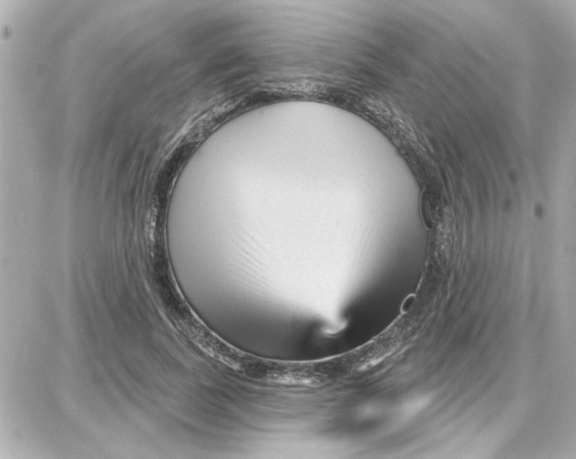 X0000087680739200705251643