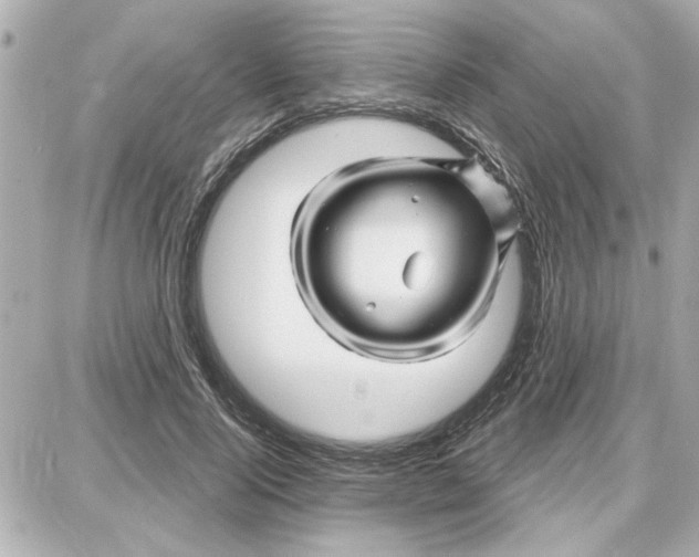 X0000087680740200705251643