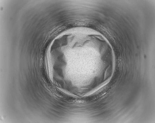 X0000087680741200705251643