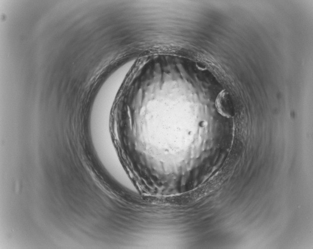 X0000087680742200705251643