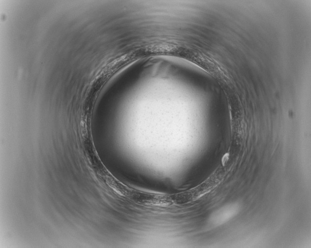 X0000087680743200705251643