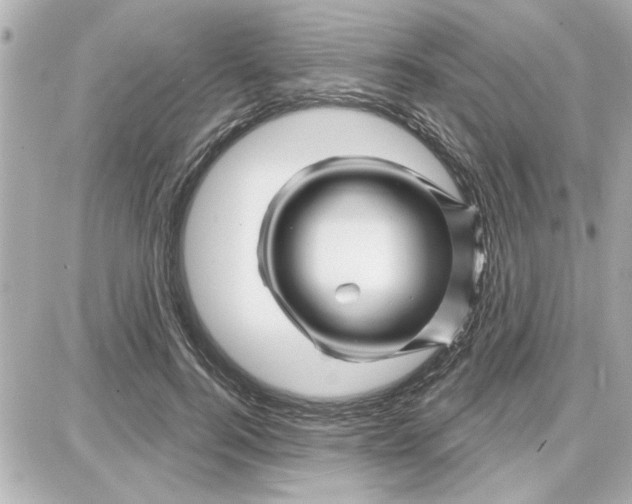 X0000087680744200705251643