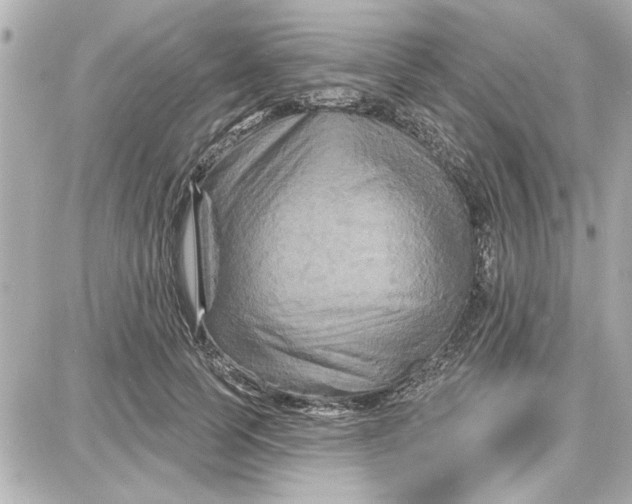 X0000087680745200705251643