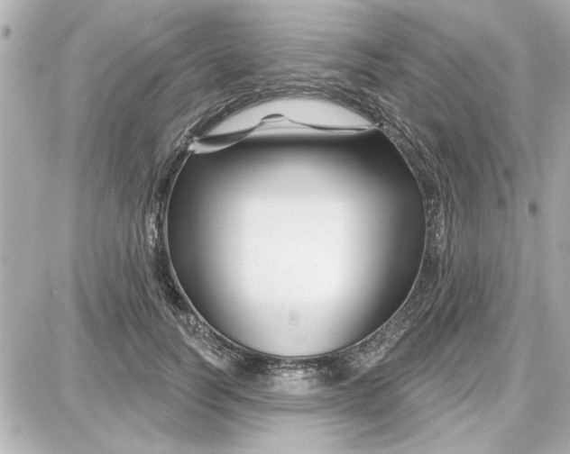 X0000087680746200705251643