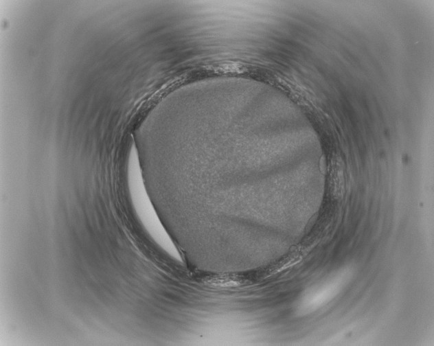 X0000087680747200705251643