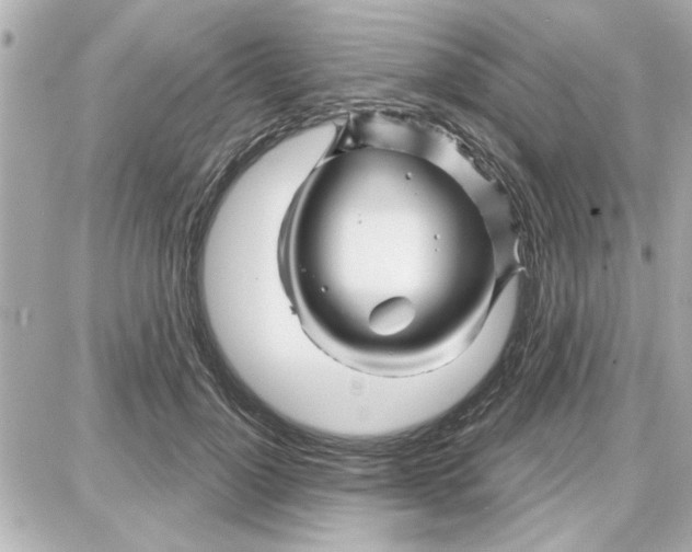 X0000087680748200705251643