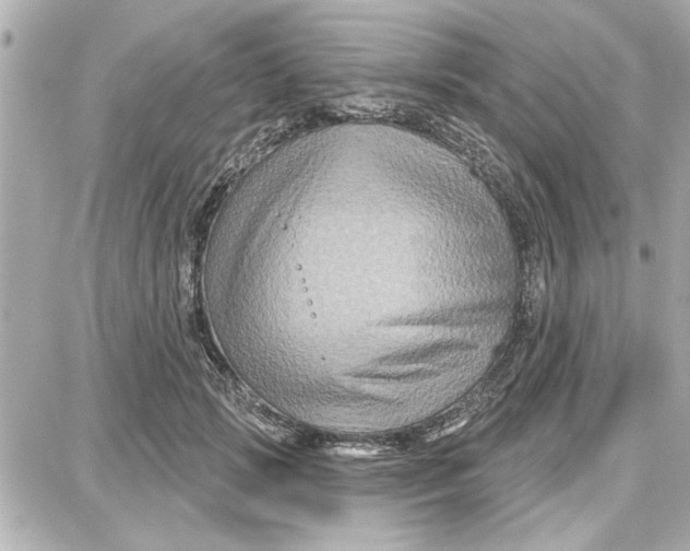 X0000087680749200705251643