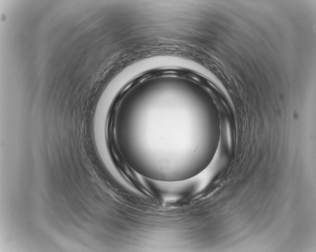 X0000087680750200705251643