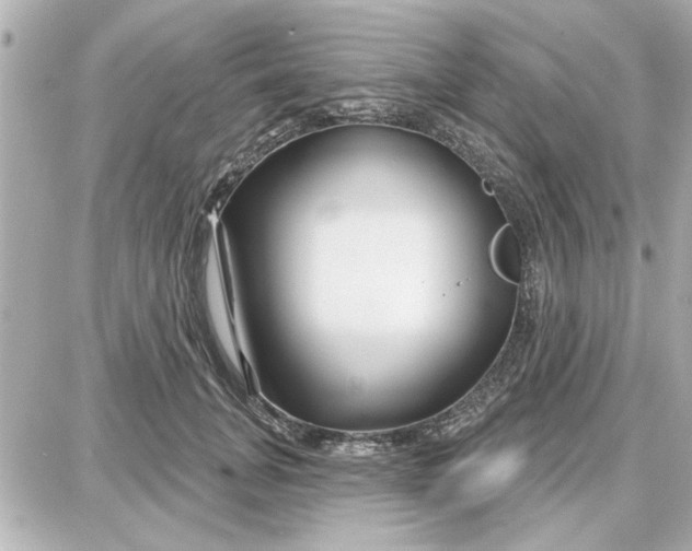 X0000087680751200705251643