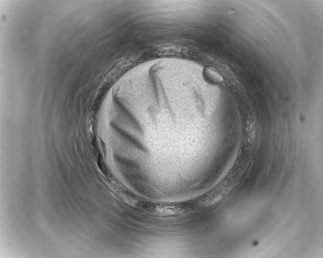 X0000087680753200705251643