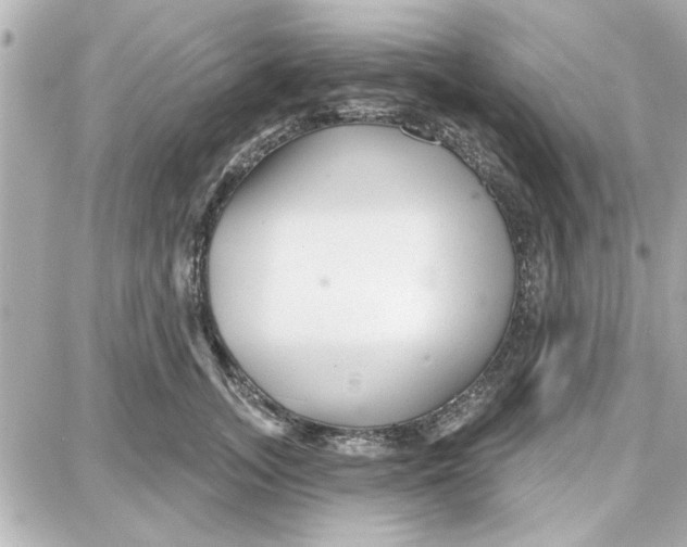 X0000087680755200705251643