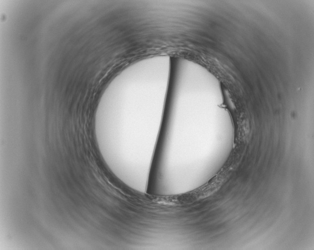 X0000087680756200705251643