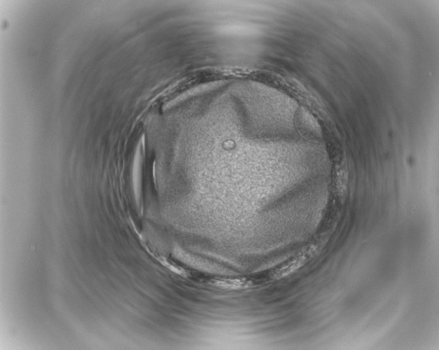 X0000087680757200705251643