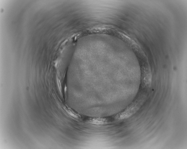 X0000087680758200705251643