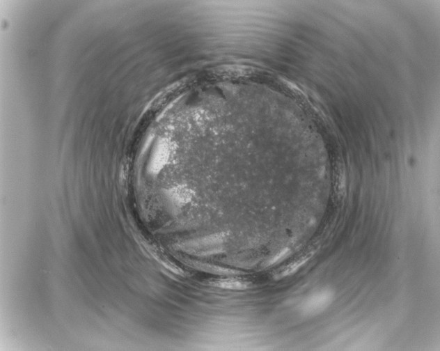 X0000087680759200705251643